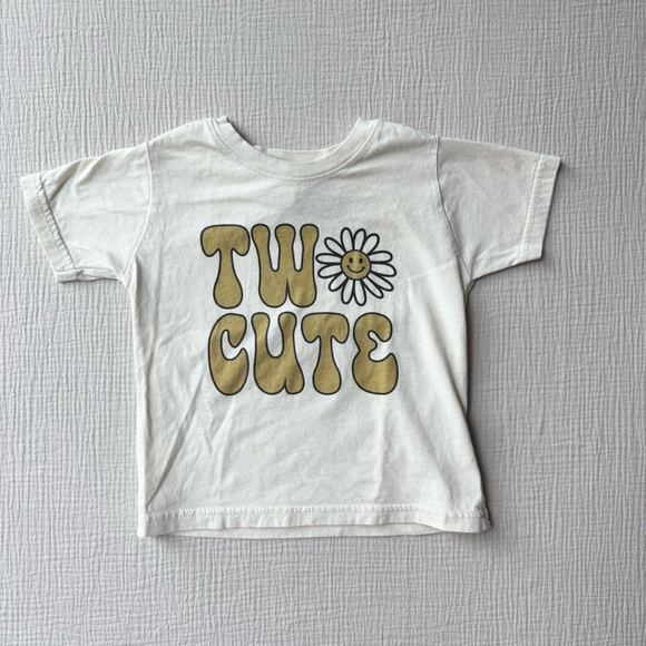 Skin Other - Two Cute Toddler Birthday Tshirt